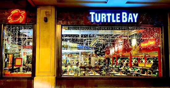 Turtle Bay