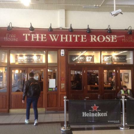 The White Rose